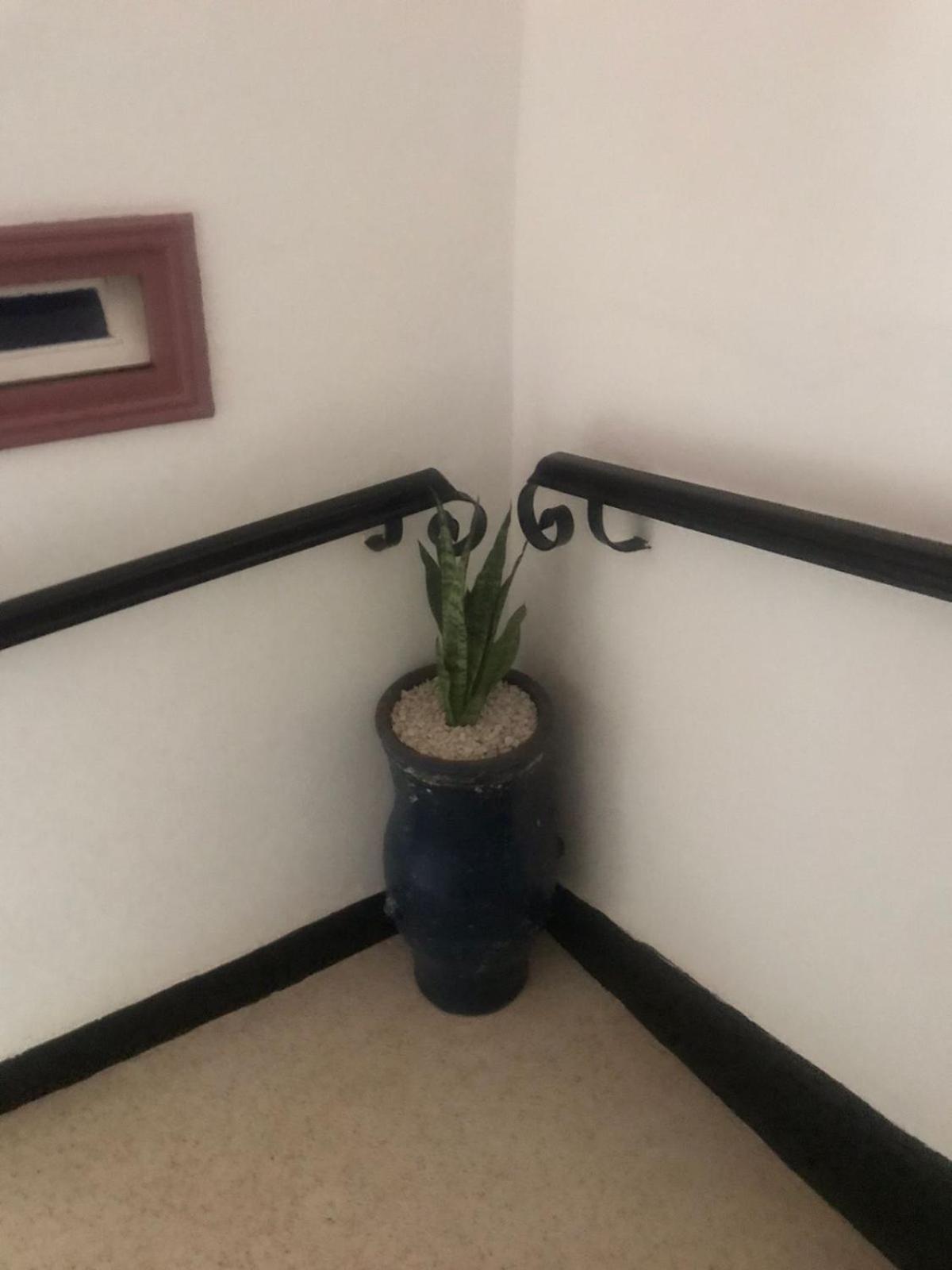 Hotel Riad Gnaoua As-Suwajra Zewnętrze zdjęcie